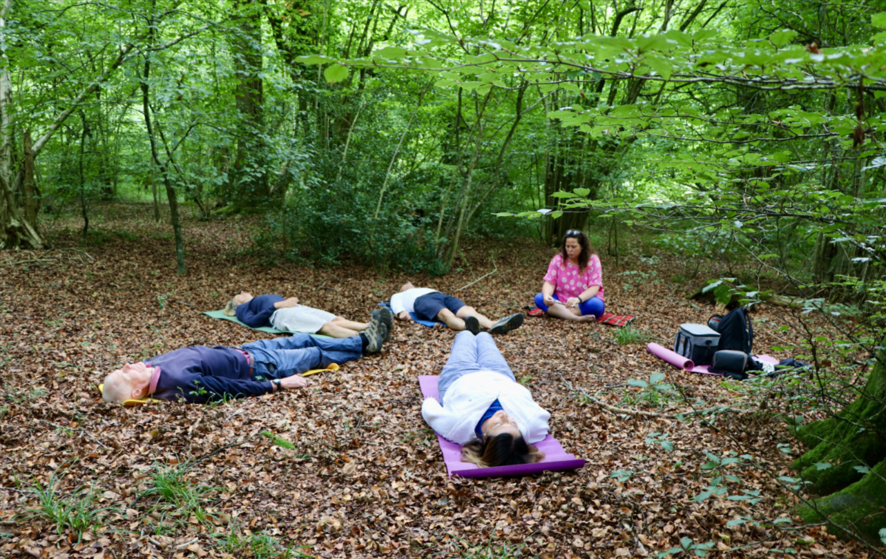 How to Practice Shinrin-Yoku (Forest Bathing)