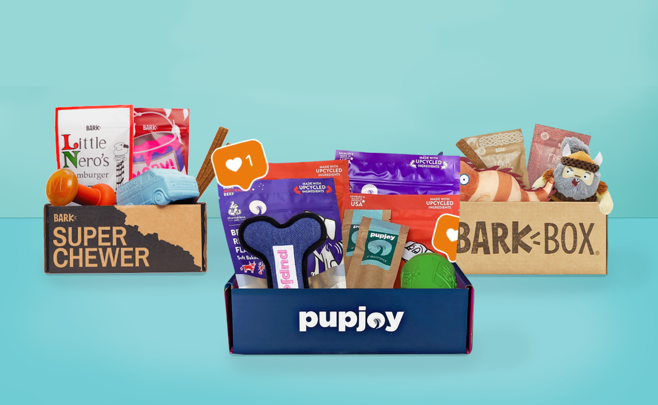 The Best Pet Subscription Boxes You’ve Never Heard Of