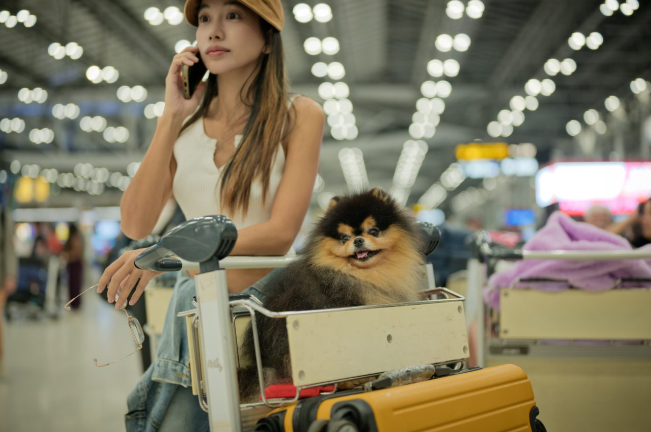 How to Travel with Exotic Pets