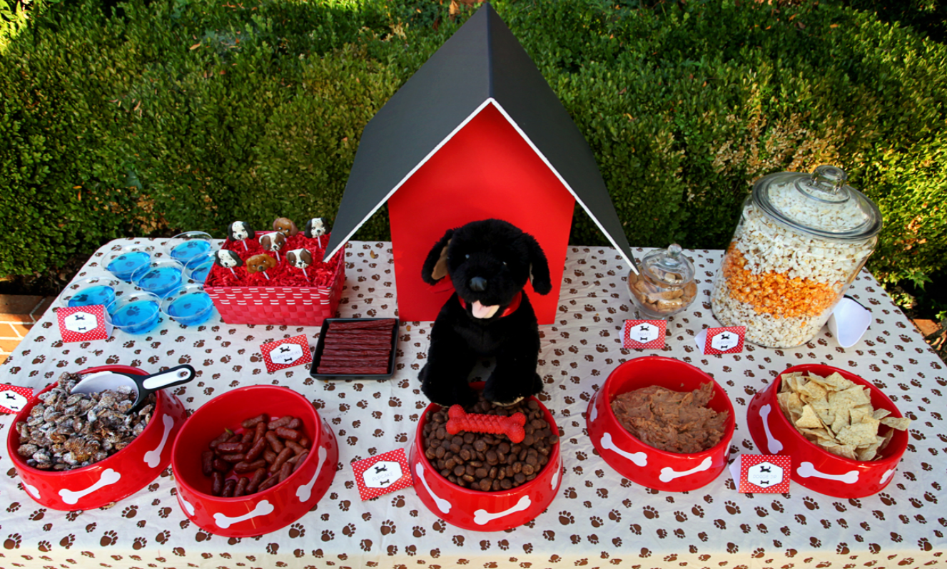 How to Host a Pet Birthday Party on a Budget